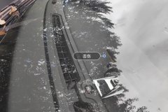 Windshield