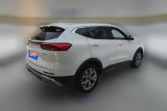 2021 Haval H6 2021 1.5T AT China tideChampion #3