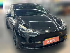 2021 Tesla Model Y 2021StandardBattery lifeRWDEdition #3