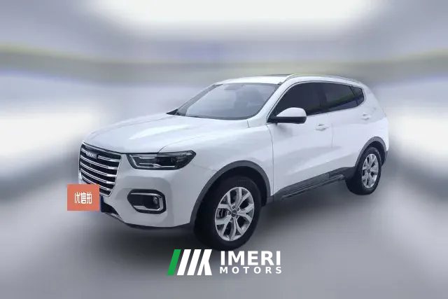 2019 Haval H6 2019 1.5T AT Red LabelChampion