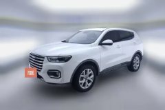 2019 Haval H6 2019 1.5T AT Red LabelChampion #1