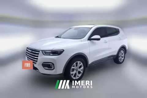 2019 Haval H6 2019 1.5T AT Red LabelChampion