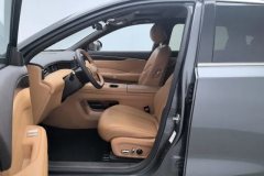 2025 Dongfeng Fengshen Dongfeng Fengshen L8 2025 185KMdreamEdition #13