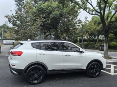 2020 Haval H6 2021 2.0T AT GTPowerQingEditionGDI #4