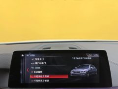 2019 BMW 5 Series(Imported) 2019 2.0T AT 530i MSport Pkg (Imported) #19