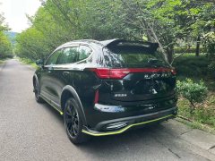 2021 Haval Chitu 2021 1.5T AT ProvokingEdition golden rabbit #6
