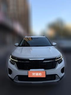 2024 Kia Seltos 2023 1.5L AT CVTLuxury #1