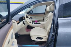 2023 AITO M7 2024 1.5T AT RWDplusEdition 5Seat #9