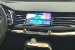 2021 Haval H6 2021 1.5T AT ChampionGDI #16
