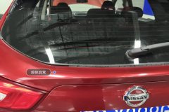 Rear Windshield