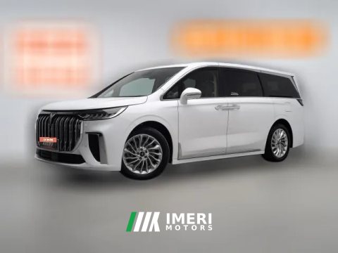 2024 Voyah Dreamer 2022 low carbonEdition Home