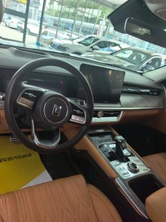 2024 Tank 500 2023 3.0T AT Sport Create environment 5Seat #9