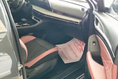 2024 Chang'an Eado 2023 Pleasure PLUS Blue WhaleNE 1.4T AT GDI DCTPremium #8