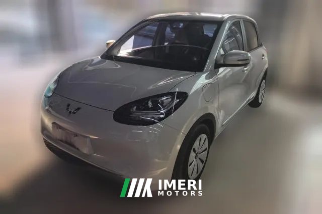 2023 Wuling Motors Wuling Bingo 2023 333KM Enjoy