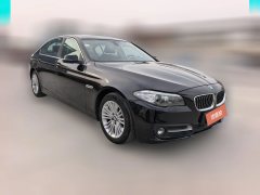 2015 BMW 5 Series 2014 2.0T AT 525LiLeading #3