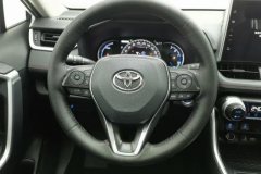 2021 Toyota Wildlander PHEV 2021 High Performance 2.5L AT 2WDPowerQingEdition #15