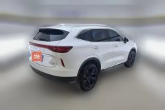 2023 Haval H6 2021 2.0T AT No.3generation2WDMax #3
