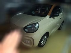 2023 Roewe Clever 2022 311kmVitality BoboEdition #1