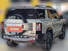 2024 Fangchengbao Bao8 2025 ZhiyongFlagship 7Seat #7