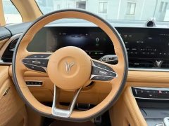 2022 Voyah Dreamer 2022 0carbonEdition Home 475km #13