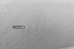 Right Rear Door
