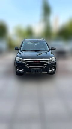 2016 Haval H6 2015 1.5T AT SportExclusiveFWD #5