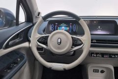 2022 Ora Good Cat 2022 MorandiEdition 400kmStandardBattery life Premium NMC #15
