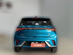 2022 BYD Dolphin 2021 405km Fashion #6