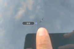 Windshield