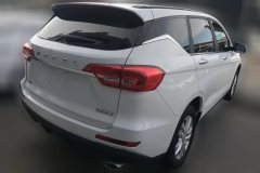 2020 Haval M6 2019 1.5T AT Super ValueFWD China VI #3