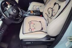 2023 Honda e:NP1 2023 510km Extremely bloomingEdition #9