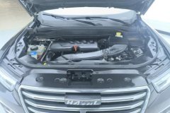 2019 Haval H6 2020 1.5T AT PlatinumChampion #10