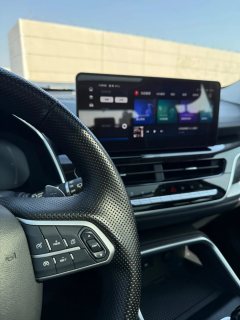 2021 Haval H6 2021 1.5T AT China tideChampion #11