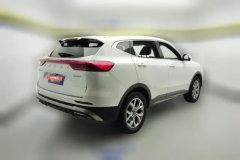 2021 Haval H6 2021 1.5T AT China tideChampion #3