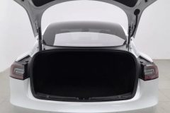 2021 Tesla Model 3 2021 StandardBattery lifeRWDUpgradeEdition #20