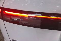 Left Rear Taillight Assembly