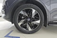 2024 BYD Tang PHEV 2023 1.5T AT DM-i Champion 112KM Premium #6