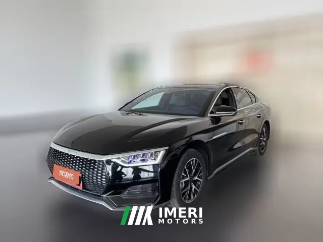 2022 BYD E9 2022 Business