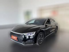 2022 BYD E9 2022 Business #1