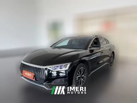 2022 BYD E9 2022 Business
