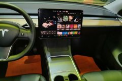 2021 Tesla Model Y 2021Long Rangeall wheel driveEdition 3D7 #16