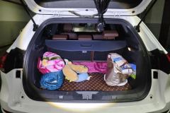 2017 Haval H6 2017 2.0T AT Red LabelSmart FashionFWD #4