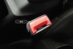 Passenger Seatbelt Buckle