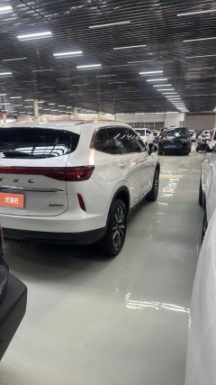 2024 Haval H6 2022 No.3generation 1.5T AT 2WDPro #14
