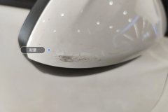 Right Exterior Mirror
