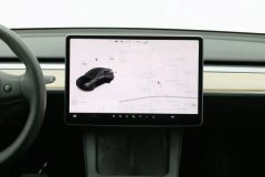 2021 Tesla Model Y 2021StandardBattery lifeRWDEdition #16