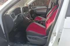 2023 Volkswagen Tayron 2023 2.0T AT 330TSI 2WDLuxuryPlusAdvancedEdition #9