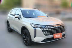 2024 Haval H6 2024 1.5T AT 2WDUltra #3