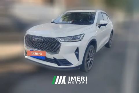2022 Haval H6 2021 1.5T AT No.3generation2WDMax