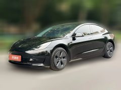 2022 Tesla Model 3 2022 rear wheel driveEdition #1